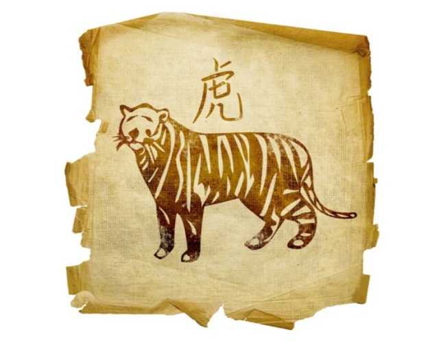 рік тигра