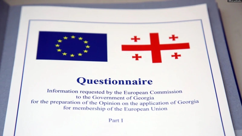 Грузія набуде кандидатського статусу в ЄС після виконання низки умов
