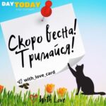 Международный день кошек (Всемирный день кошек)