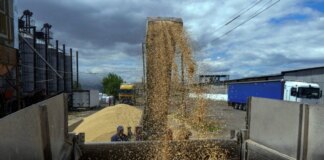 ООН очікує відновлення експорту зерна з України найближчими днями
