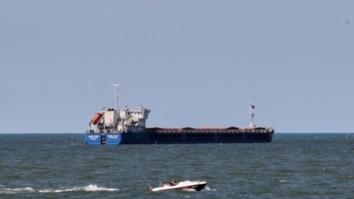 Туреччина розслідує заяву України, що зерно на борту «Жибек Жоли» – крадене
