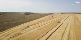 Зеленський вказав на погіршення ситуації з українським експортним зерном
