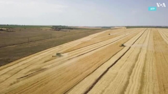 Зеленський вказав на погіршення ситуації з українським експортним зерном
