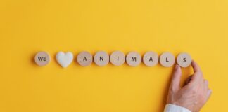 Международный день акций за принятие Декларации прав животных