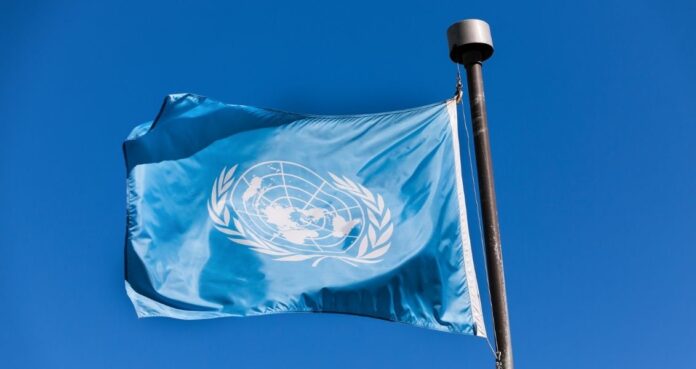 Международный день Организации Объединенных Наций по сотрудничеству Юг-Юг